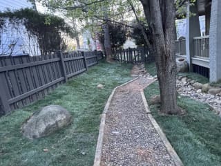 Yard after cleanup and fresh sod install