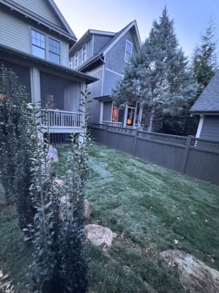 Lower yard section after grading and finish work