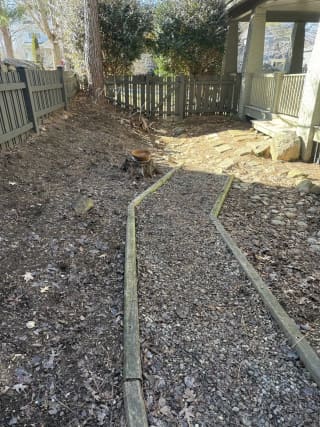 Yard condition before cleanup and sod prep