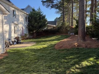 Same backyard after sod install and finish