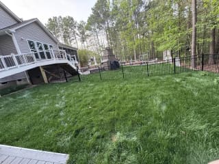 Front yard after fresh sod installation