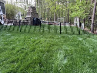 Side yard after fresh sod installation
